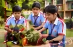 Students tending plants in the school garden